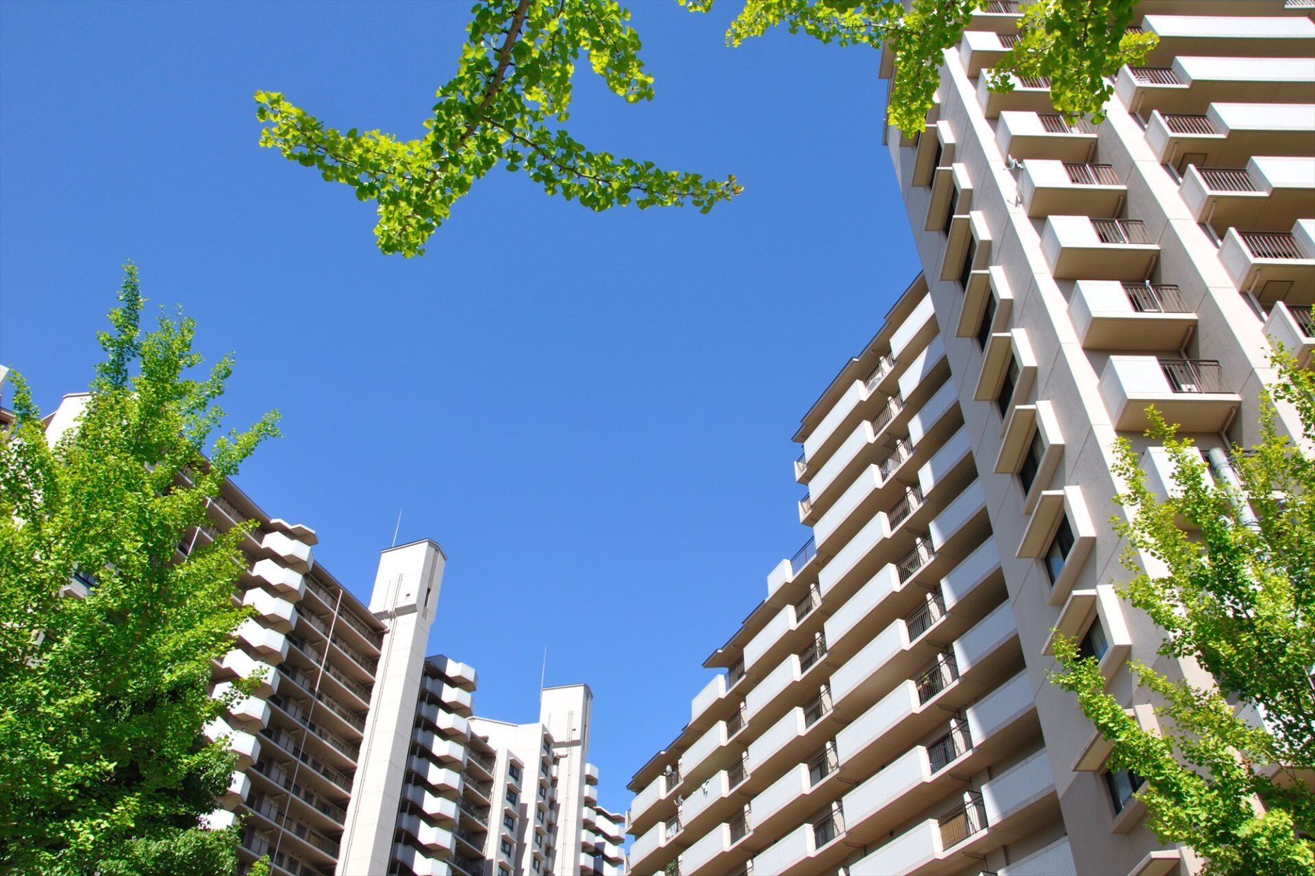 マンション